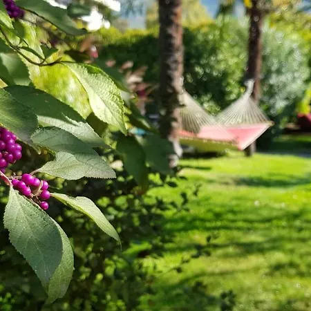 Hotel apartamentowy Gartenresidence Zea Curtis Meran