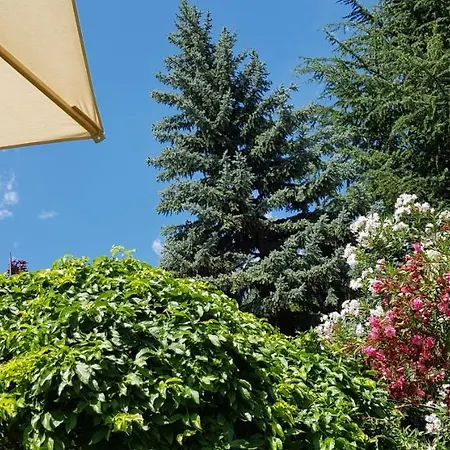 Gartenresidence Zea Curtis Апарт-готель 3*