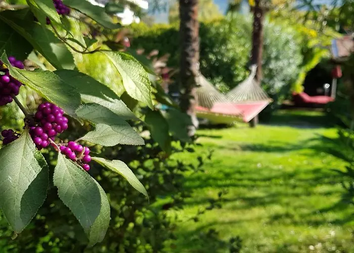 شقة فندقية Gartenresidence Zea Curtis ميرانو