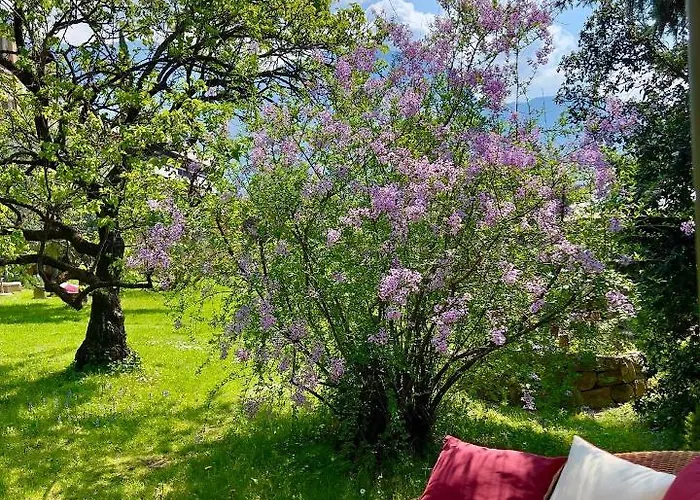 Aparthotel Gartenresidence Zea Curtis 3*